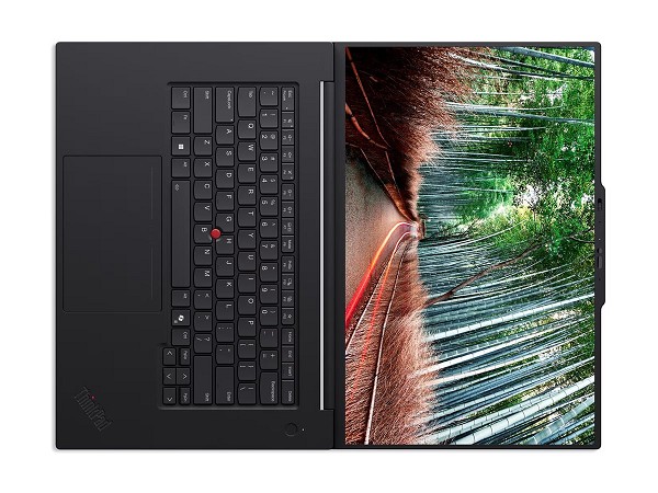 Lenovo ThinkPad P1 Gen 8 -  Core Ultra 7 255H - Ev oben