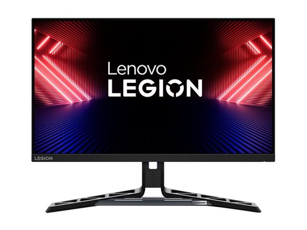 Lenovo R25i-30 - LED-Monitor - Full HD (1080p) - 6 links