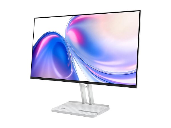 Lenovo L24-4C - LED-Monitor - 61 cm (24") (23.8" s oben