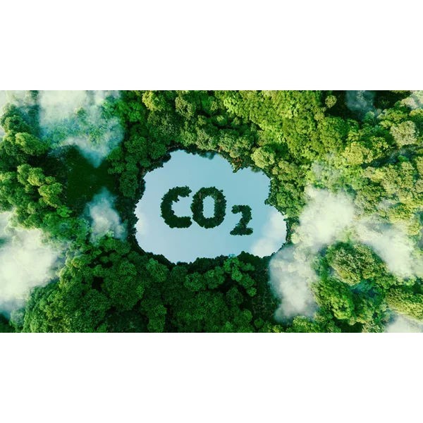 Lenovo Co2 Offset 1.5 t - Serviceerweiterung rechts